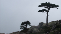 Montagnes du Sud Montagnes du Sud