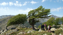 De la Montagne à la Mer De la Montagne à la Mer
