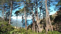 De la Montagne à la Mer en hôtel De la Montagne à la Mer en hôtel
