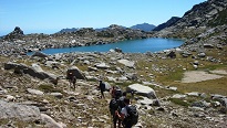 GR 20 Sud en liberté GR 20 Sud en liberté